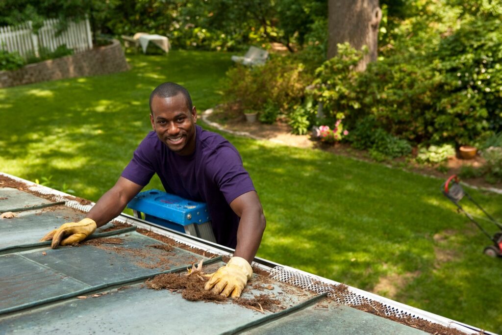 Roof Cleaning-Maintenance